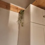 Дом отдыха Seehaus
