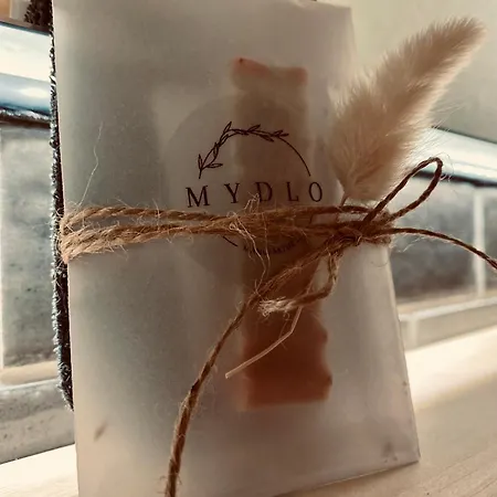 Seehaus 펜션 부코브