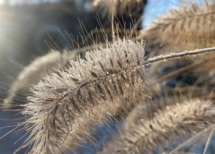 Сasa de vacaciones Seehaus